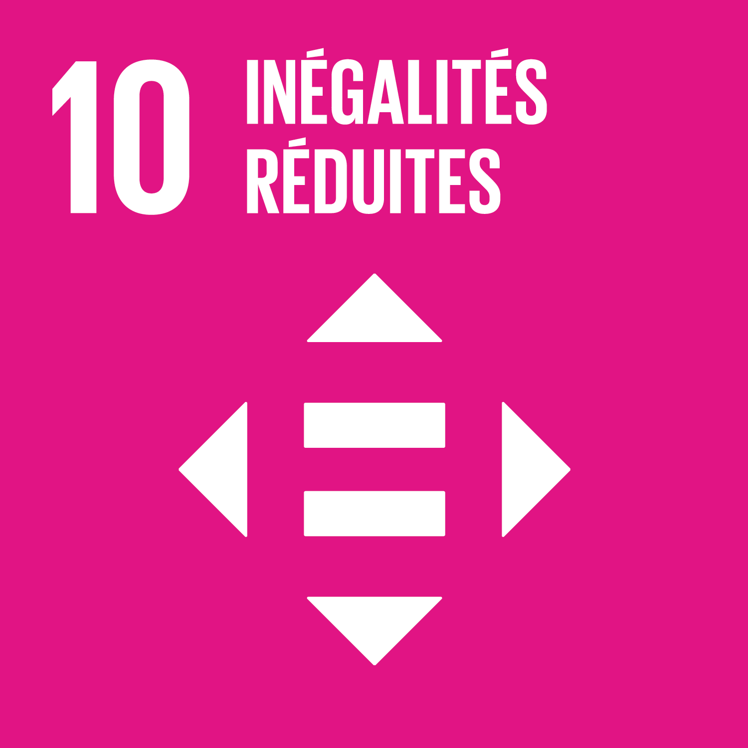 Objectif 10 : Réduire les inégalités dans les pays et d’un pays à l’autre