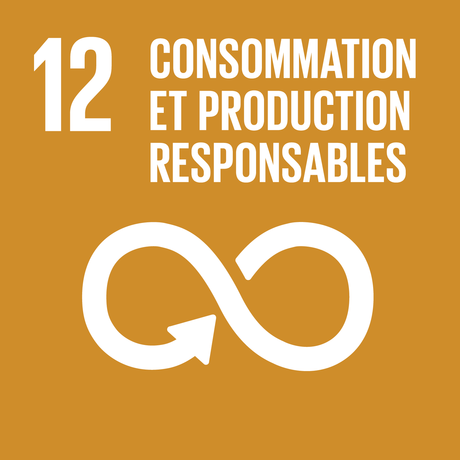 Objectif 12 : Établir des modes de consommation et de production durables