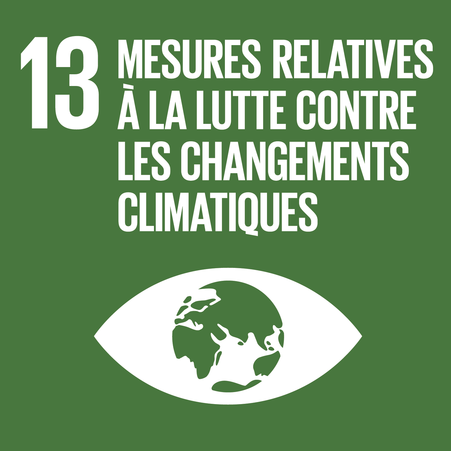 Objectif 13 : rendre d’urgence des mesures pour lutter contre les changements climatiques et leurs répercussions