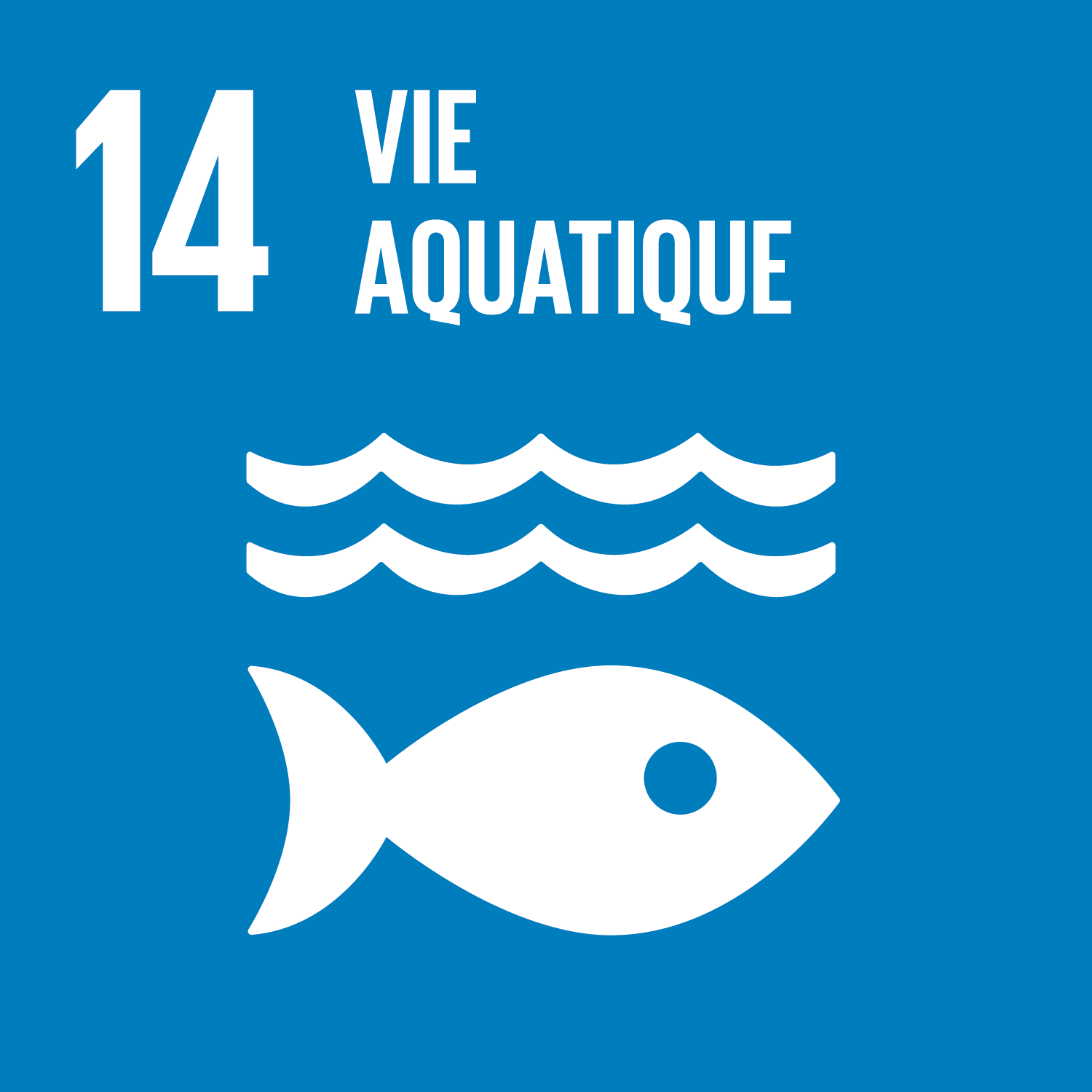 Objectif 14 : Conserver et exploiter de manière durable les océans, les mers et les ressources marines aux fins du développement durable