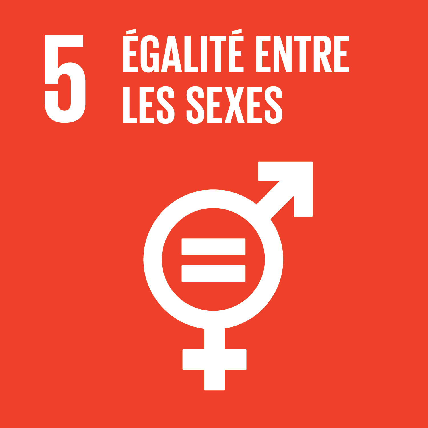 Objectif 5 : Parvenir à l’égalité des sexes et autonomiser toutes les femmes et les filles