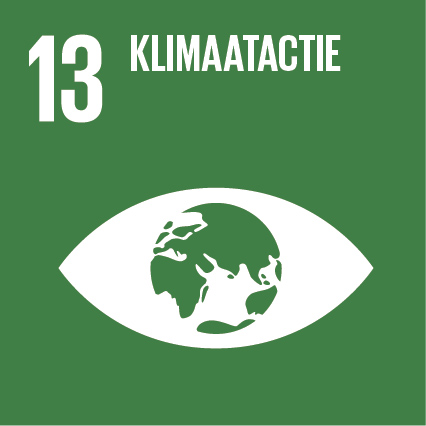 Goal 13:  Neem dringend actie om klimaatverandering en haar impact te bestrijden.
