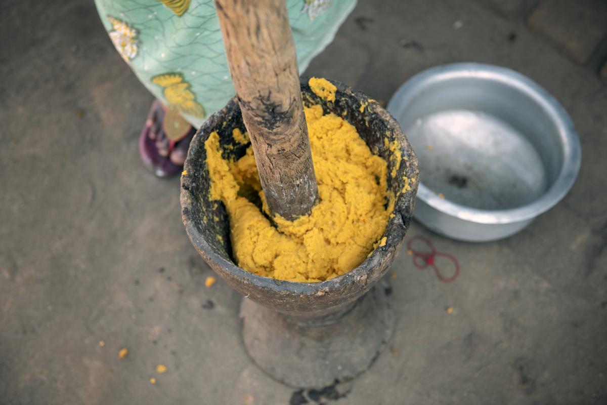 De CGIAR produceerde in Malawi een klimaatrobuuste variëteit van zoete aardappel die meer opbrengt. Zoete aardappelboeren verkregen daardoor een hoger inkomen en een voedzamer dieet (© C. de Bode/CGIAR).