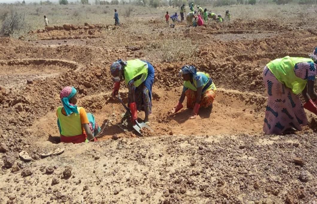 Bij het herstel van gedegradeerde bodems worden traditionele technieken gebruikt (project DURAZINDER in Niger). © Durazinder au Niger