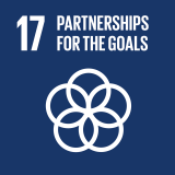 Goal 17: Revitalize the global partnership for sustainable development
