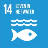 Goal 14: Behoud en maak duurzaam gebruik van de oceanen, de zeeën en de maritieme hulpbronnen.